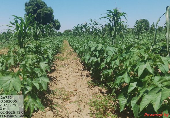 WhatsApp Image 2025-05-02 at 12.43.38 PM (2)