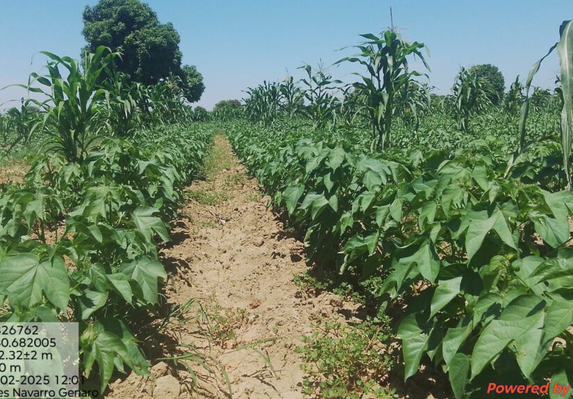 WhatsApp Image 2025-05-02 at 12.43.38 PM (2)