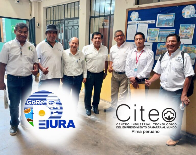 WhatsApp Image 2025-05-22 at 2.18.22 PM