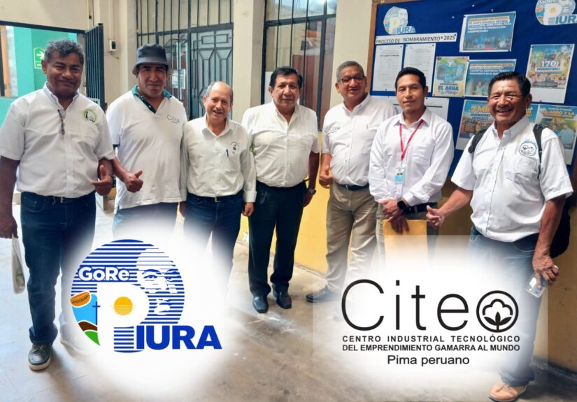 WhatsApp Image 2025-05-22 at 2.18.22 PM